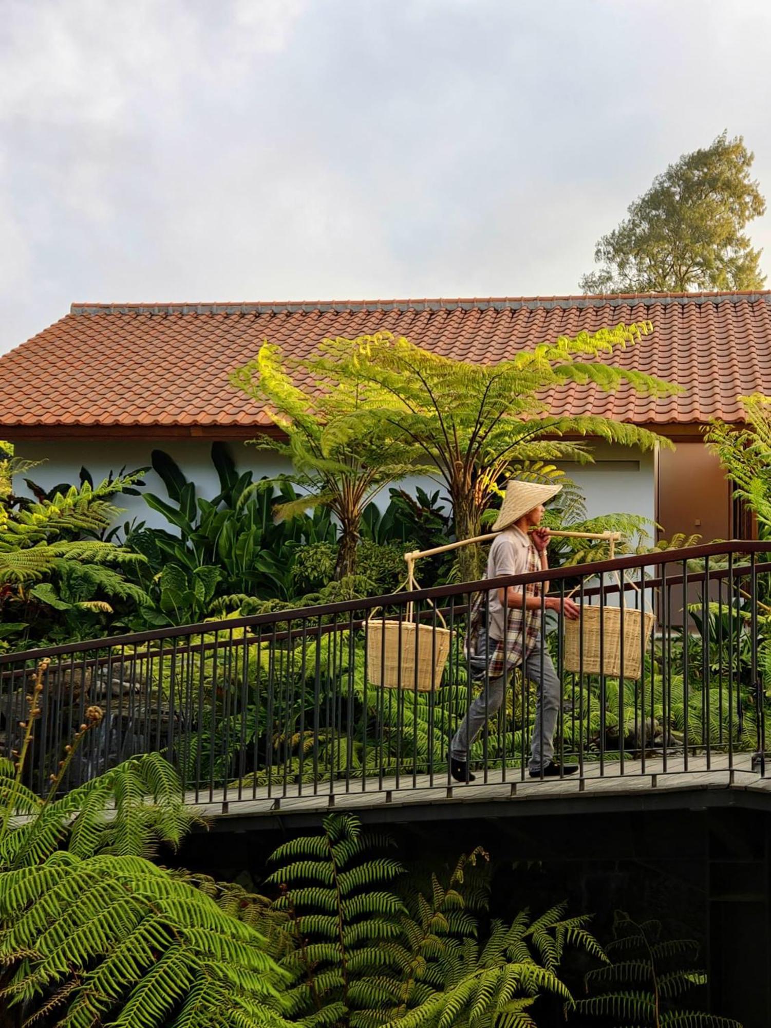 Dusun Bedugul Asri Bedugul (Bali) Exterior foto