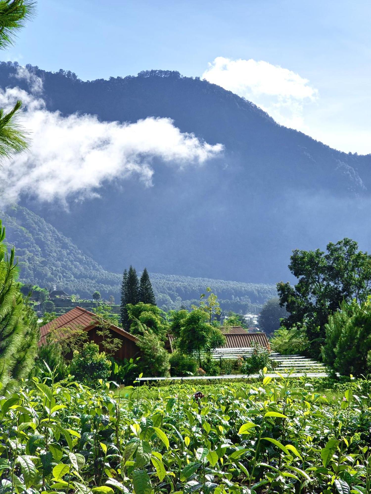 Dusun Bedugul Asri Bedugul (Bali) Exterior foto